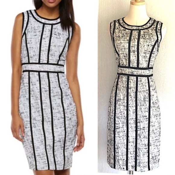 Dana Buchman Dresses & Skirts - Dana Buchman Sheath Dress White Black Contrast Trim Zip Hook & Eye (NWT) Sz 16